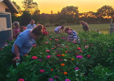Family Farm Experience